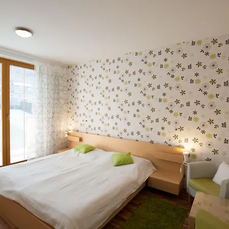 Guest house Hotel Garni Pod Skalkou 3*