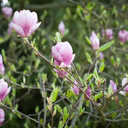 Hotel Garni Pod Skalkou Guest house