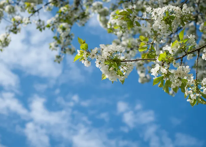 Hotel Garni Pod Skalkou Guest house Cesky Krumlov