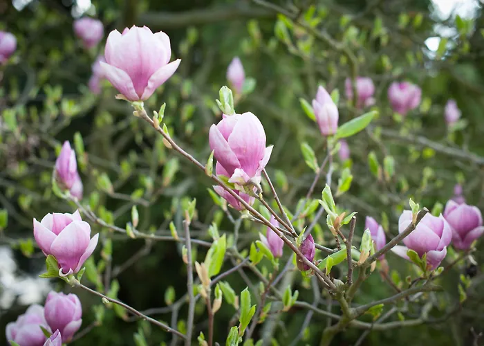 Hotel Garni Pod Skalkou Guest house
